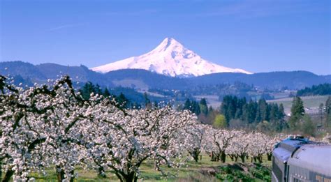 hood river happenings|Home Page .